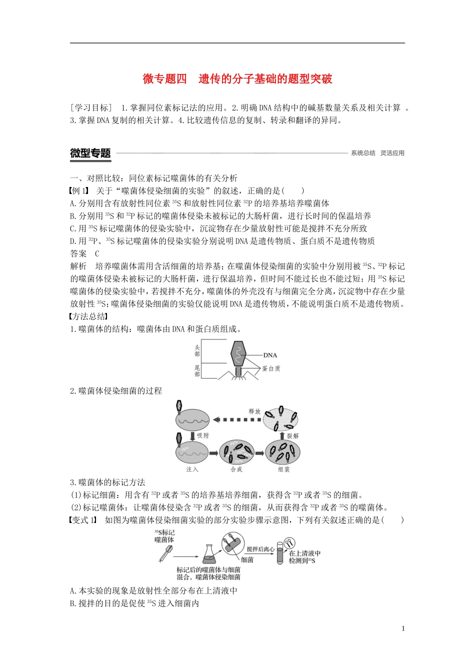 高中生物 第三章 遗传的分子基础 微专题四 遗传的分子基础的题型突破学案 浙科版必修2-浙科版高一必修2生物学案_第1页