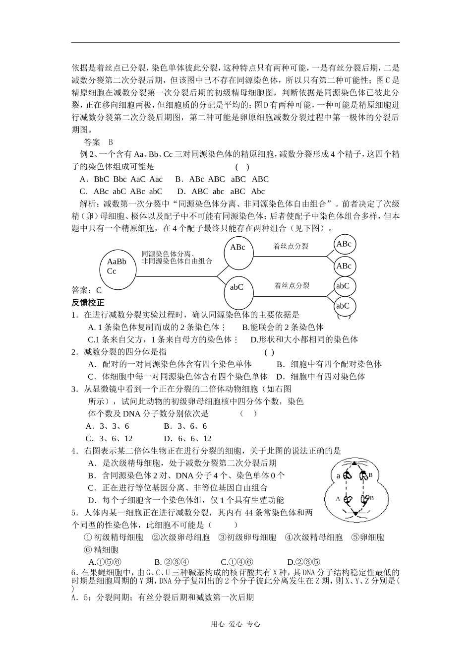 高中生物：2.1减数分裂和受精作用学案导学 新人教版必修2_第3页