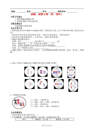 高中生物 减数分裂导学案新人教版必修2