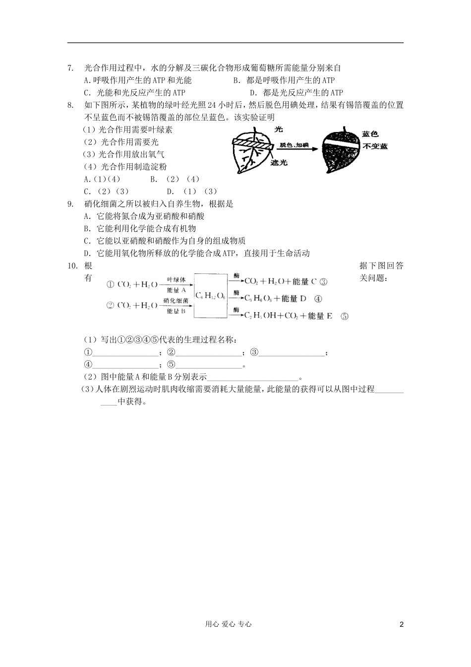 高中生物 第22课时能量之源——光与光合作用（3）课时学案 新人教版必修1_第2页