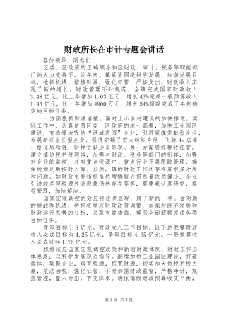 财政所长在审计专题会讲话发言