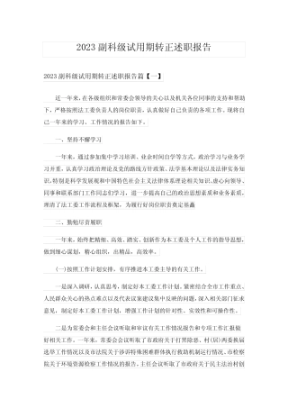 2023副科级试用期转正述职报告 