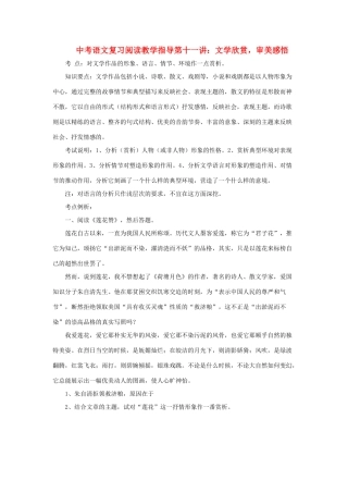 九年级语文中考复习阅读教学指导第十一讲：文学欣赏，审美感悟全国通用