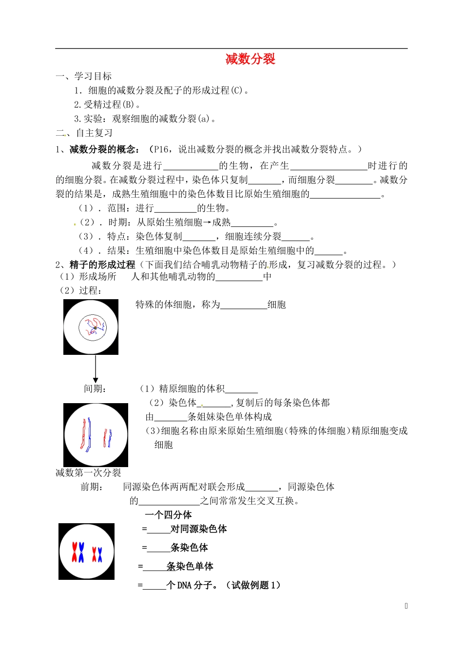 高中生物 2.1 减数分裂学案 新人教版必修2-新人教版高一必修2生物学案_第1页
