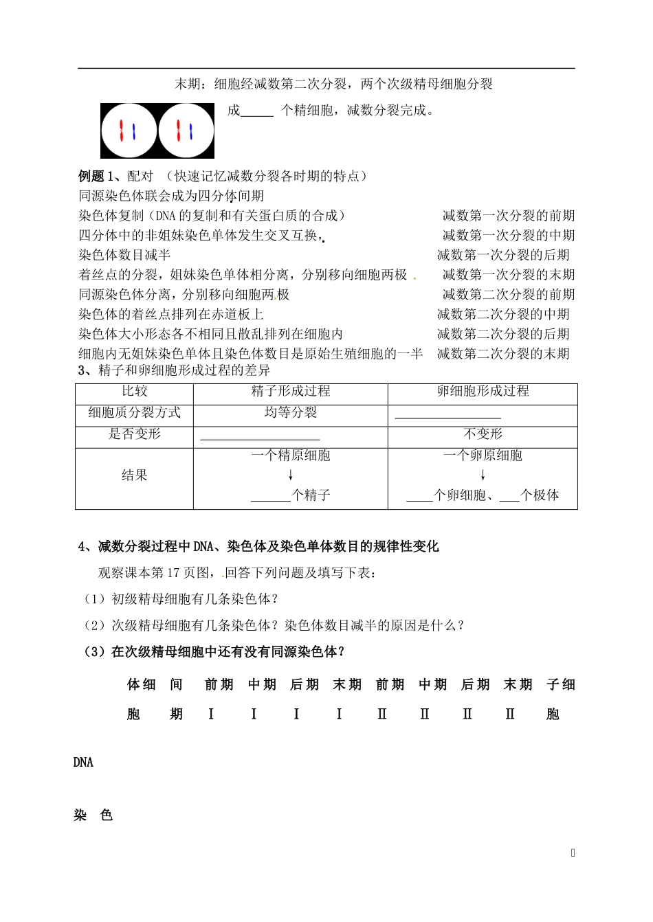 高中生物 2.1 减数分裂学案 新人教版必修2-新人教版高一必修2生物学案_第3页