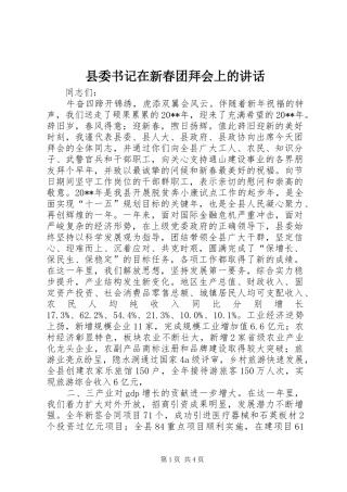 县委书记在新春团拜会上的讲话发言