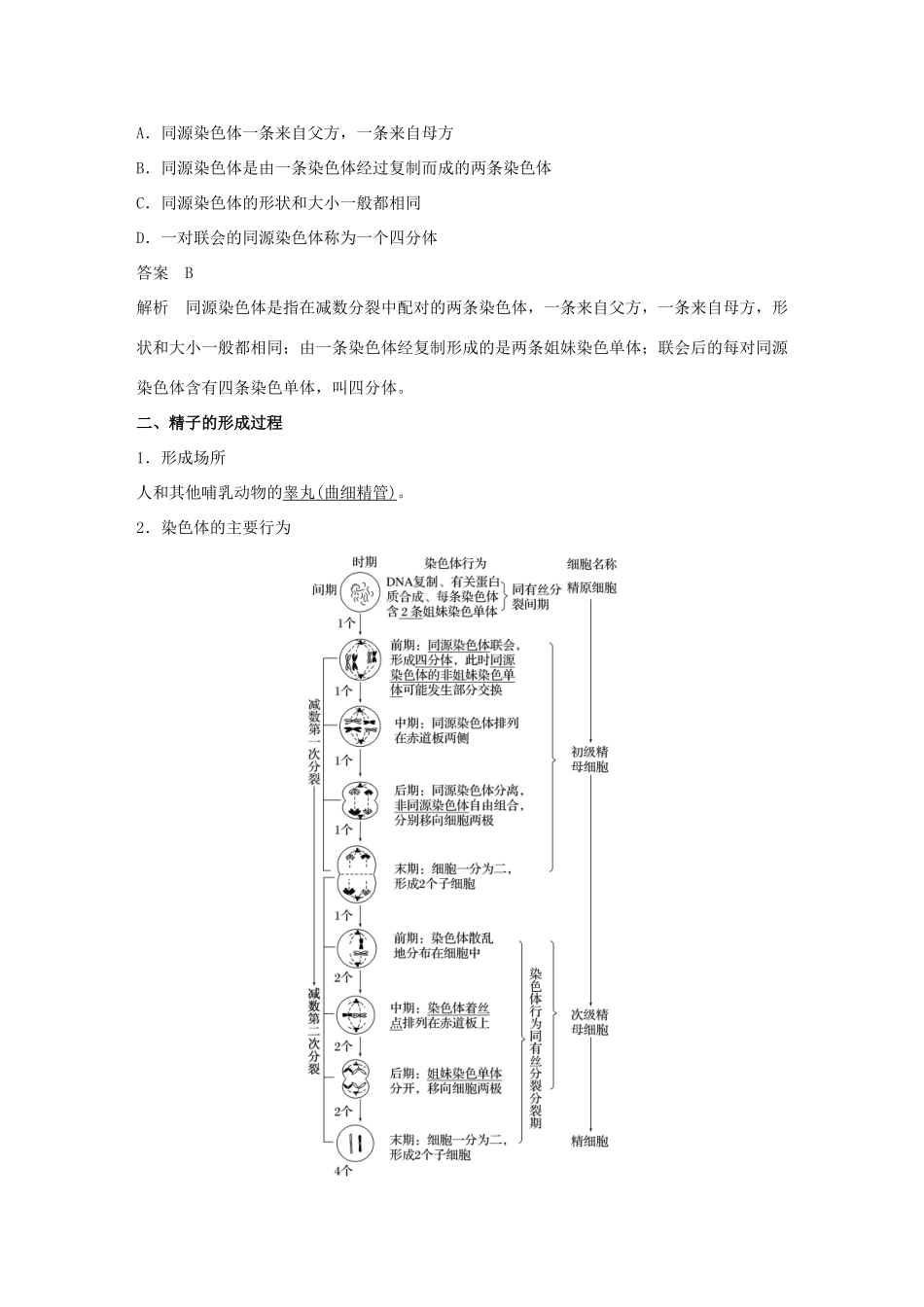 高中生物 第2章 基因和染色体的关系 第1节 减数分裂和受精作用 第1课时 减数分裂的概念、精子的形成过程学案 新人教版必修2-新人教版高一必修2生物学案_第2页