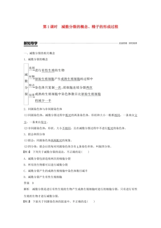 高中生物 第2章 基因和染色体的关系 第1节 减数分裂和受精作用 第1课时 减数分裂的概念、精子的形成过程学案 新人教版必修2-新人教版高一必修2生物学案