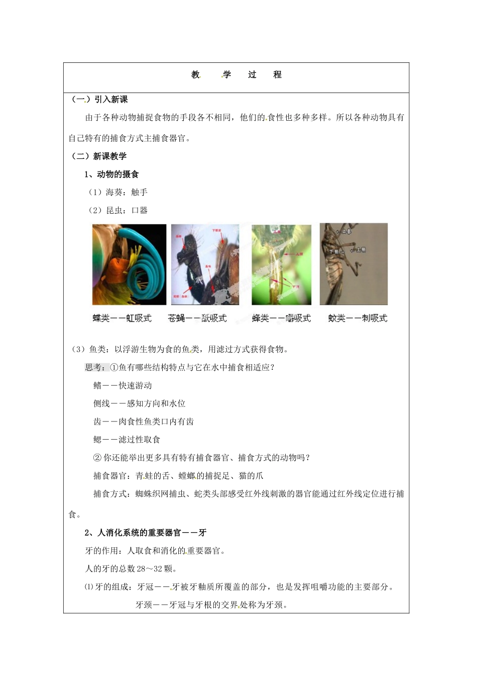 浙江省温岭市城南中学九年级科学上册《4.1食物与摄食3》教案 浙教版_第2页