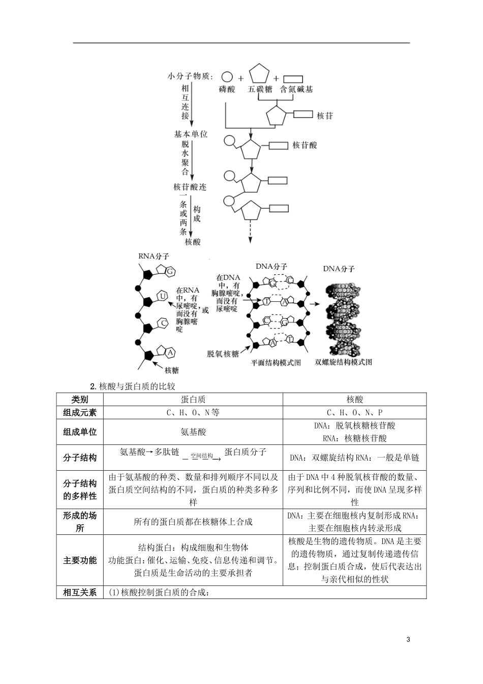 （江苏专用）高考生物一轮总复习 第1单元 细胞的分子组成 第3讲 细胞中的核酸、糖类和脂质学案-人教版高三全册生物学案_第3页