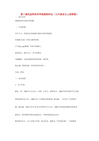 九年级语文上册第二单元7《托起草原》教案鄂教版