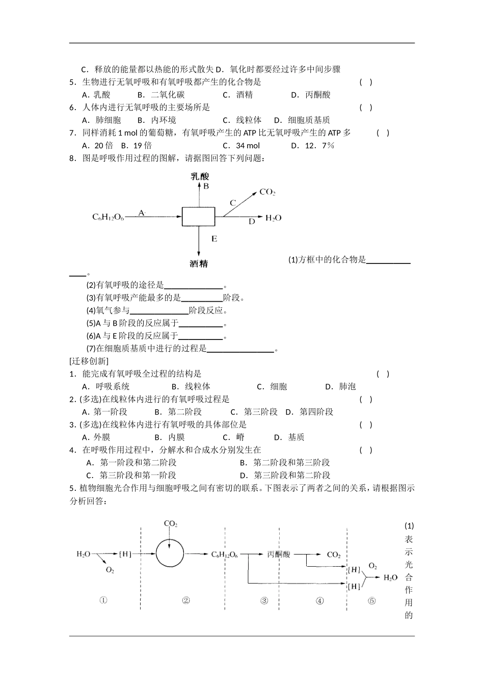 高中生物：4.3《细胞呼吸1》学案（苏教版必修1）_第3页