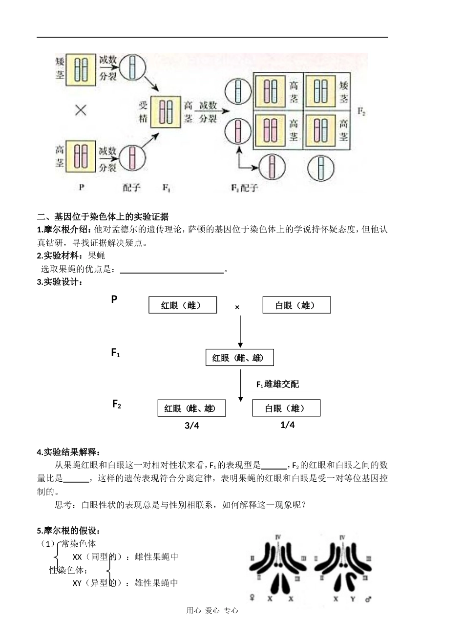 高中生物 基因在染色体上导学案 新人教版必修2_第2页