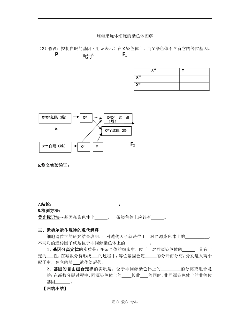 高中生物 基因在染色体上导学案 新人教版必修2_第3页