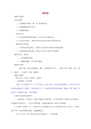 河南省郑州市中考物理《磁现象》复习教案-人教版初中九年级全册物理教案