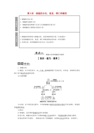 高考生物一轮复习 第4单元 细胞的生命历程 第3讲 细胞的分化、衰老、凋亡和癌变学案 苏教版必修1-苏教版高三必修1生物学案