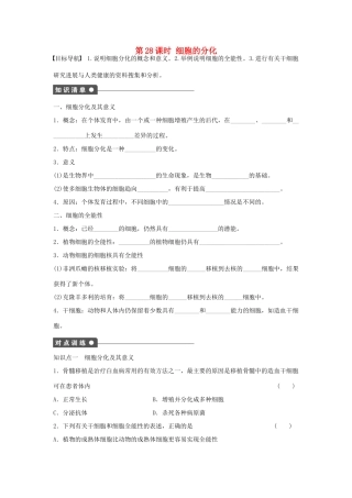 高中生物 第六章 细胞的生命历程 第28课时 细胞的分化课时作业 新人教版必修1-新人教版高一必修1生物学案