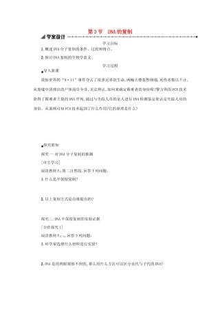 高中生物 3.3 DNA的复制学案设计 新人教版必修2-新人教版高一必修2生物学案
