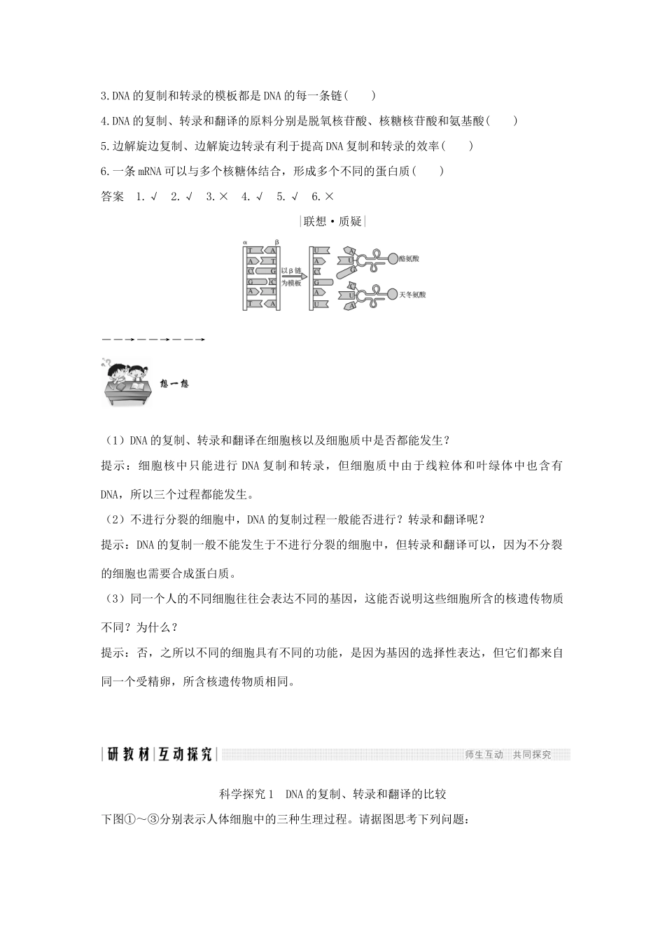 高中生物 第4章 基因的表达 第1节 第2课时 DNA复制、转录、翻译的比较及相关计算学案 新人教版必修2-新人教版高一必修2生物学案_第2页