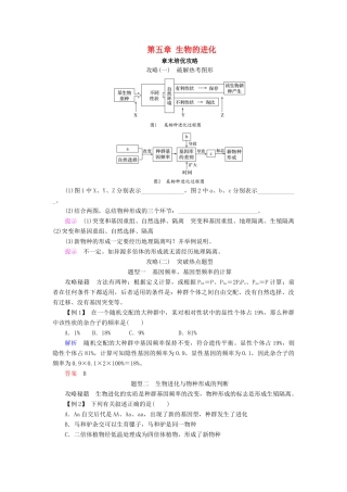 高中生物 第五章 生物的进化章末培优攻略学案 苏教版必修2-苏教版高一必修2生物学案