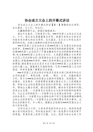 协会成立大会上的开幕式讲话发言