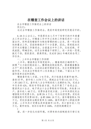 在稽查工作会议上的讲话发言