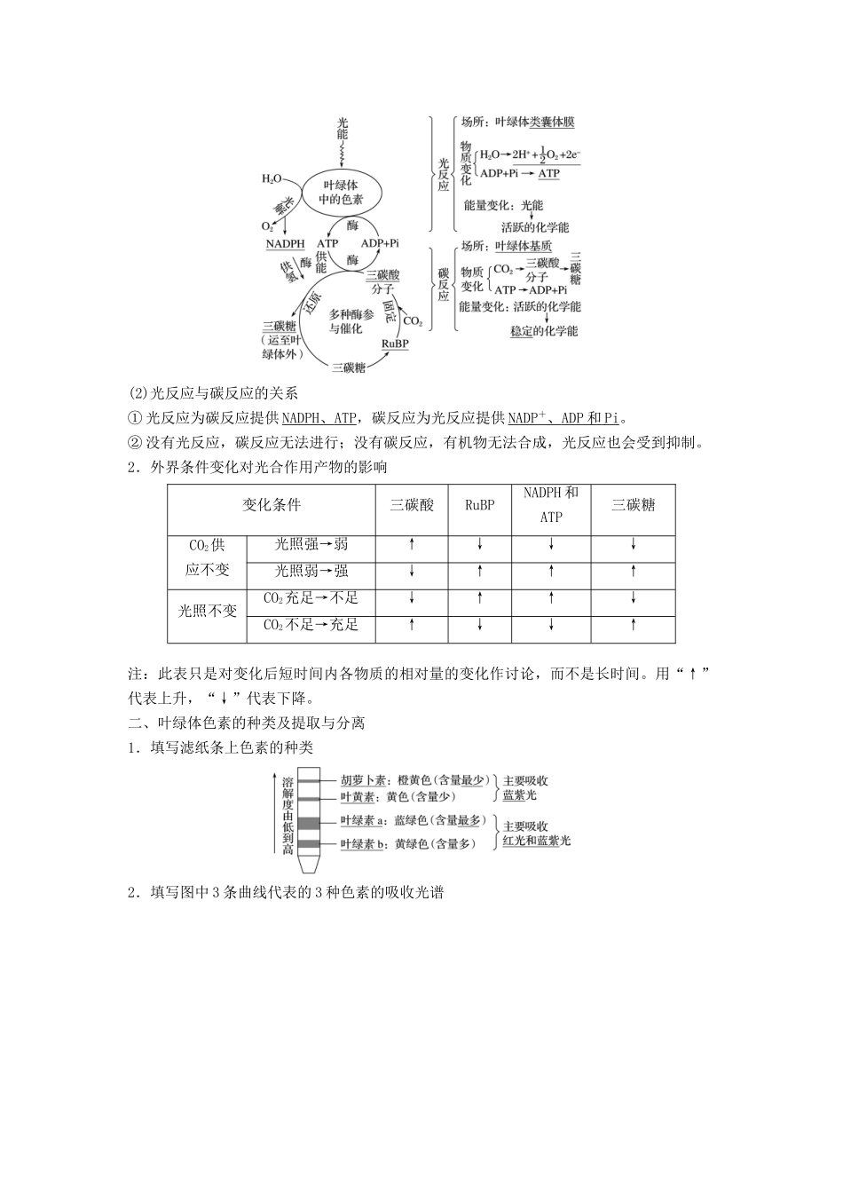（浙江选考）高三生物二轮专题复习 专题三 细胞呼吸与光合作用 考点2 光合作用学案 新人教版-新人教版高三全册生物学案_第3页