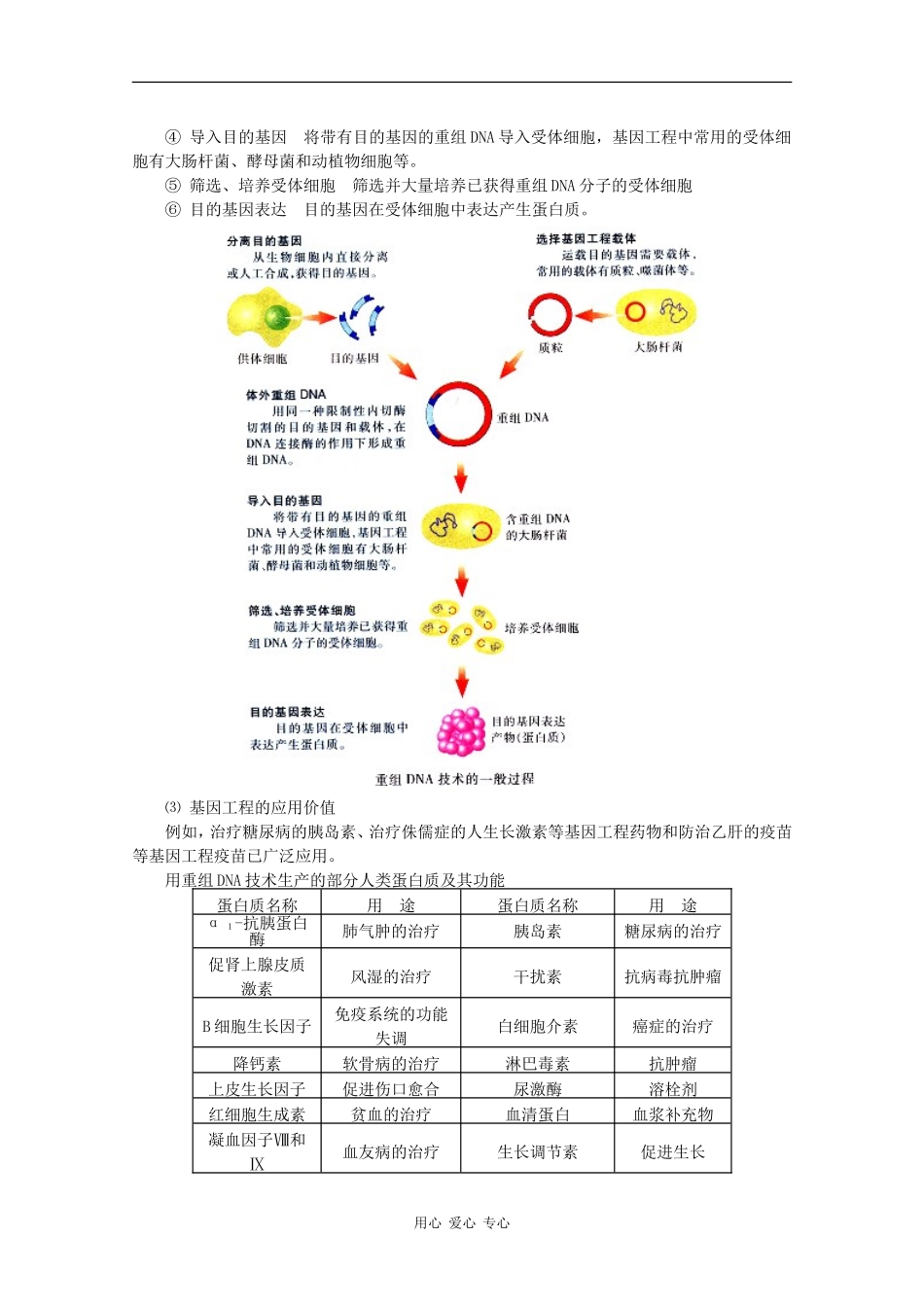 高一生物：4.4《基因突变和基因重组》学案（3） 苏教版_第2页