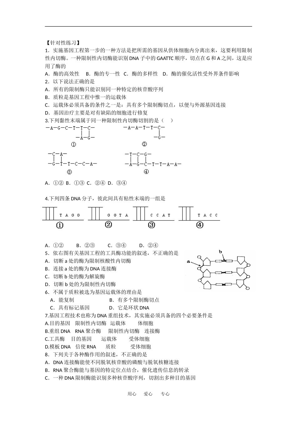 高中生物：1.1 重组技术基本工具 学案新人教版选修3_第3页