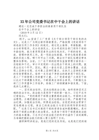 XX年公司党委书记在中干会上的讲话发言