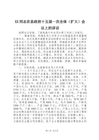 XX同志在县政府十五届一次全体（扩大）会议上的讲话发言