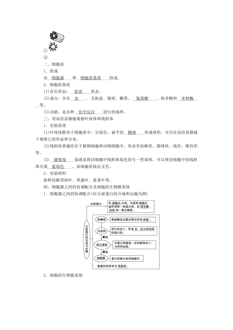 高中生物 第三章 细胞的基本结构  第2节 细胞器——系统内的分工合作学案 新人教版必修1-新人教版高一必修1生物学案_第2页