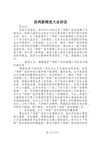 县两新推进大会讲话发言