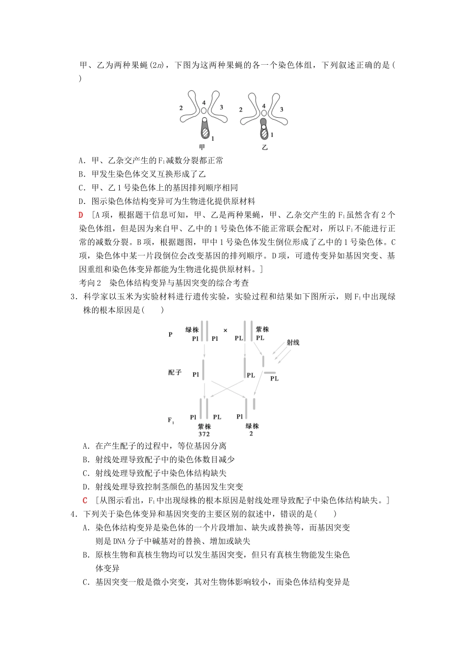 （全国版）高考生物一轮复习 第7单元 生物的变异、育种和进化 第2讲 染色体变异和人类遗传病学案-人教版高三全册生物学案_第3页