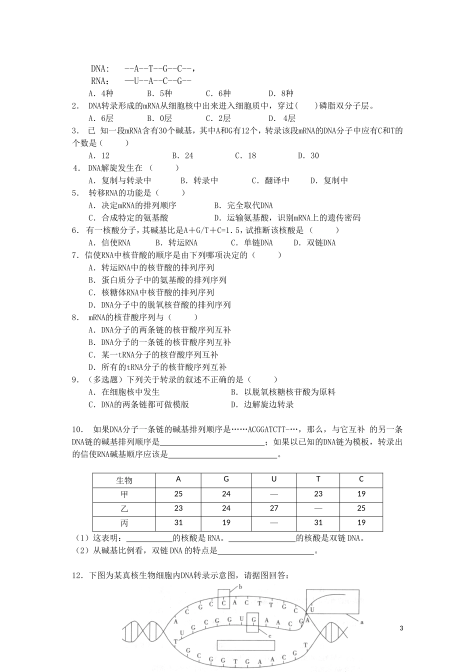 高中生物《基因指导蛋白质的合成》学案1 新人教版必修2_第3页