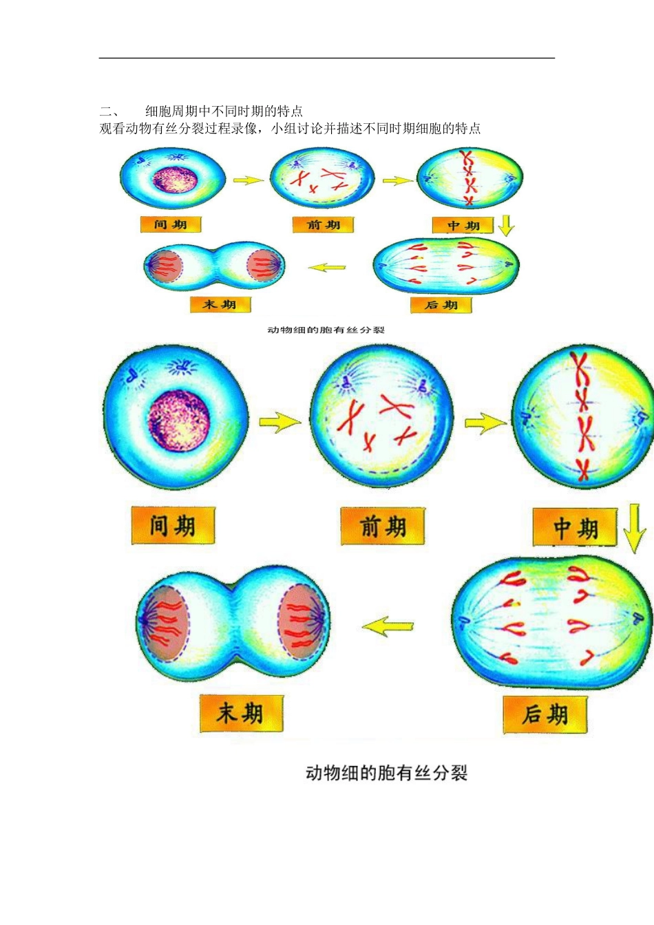高中生物细胞增殖学案苏教版必修1_第2页