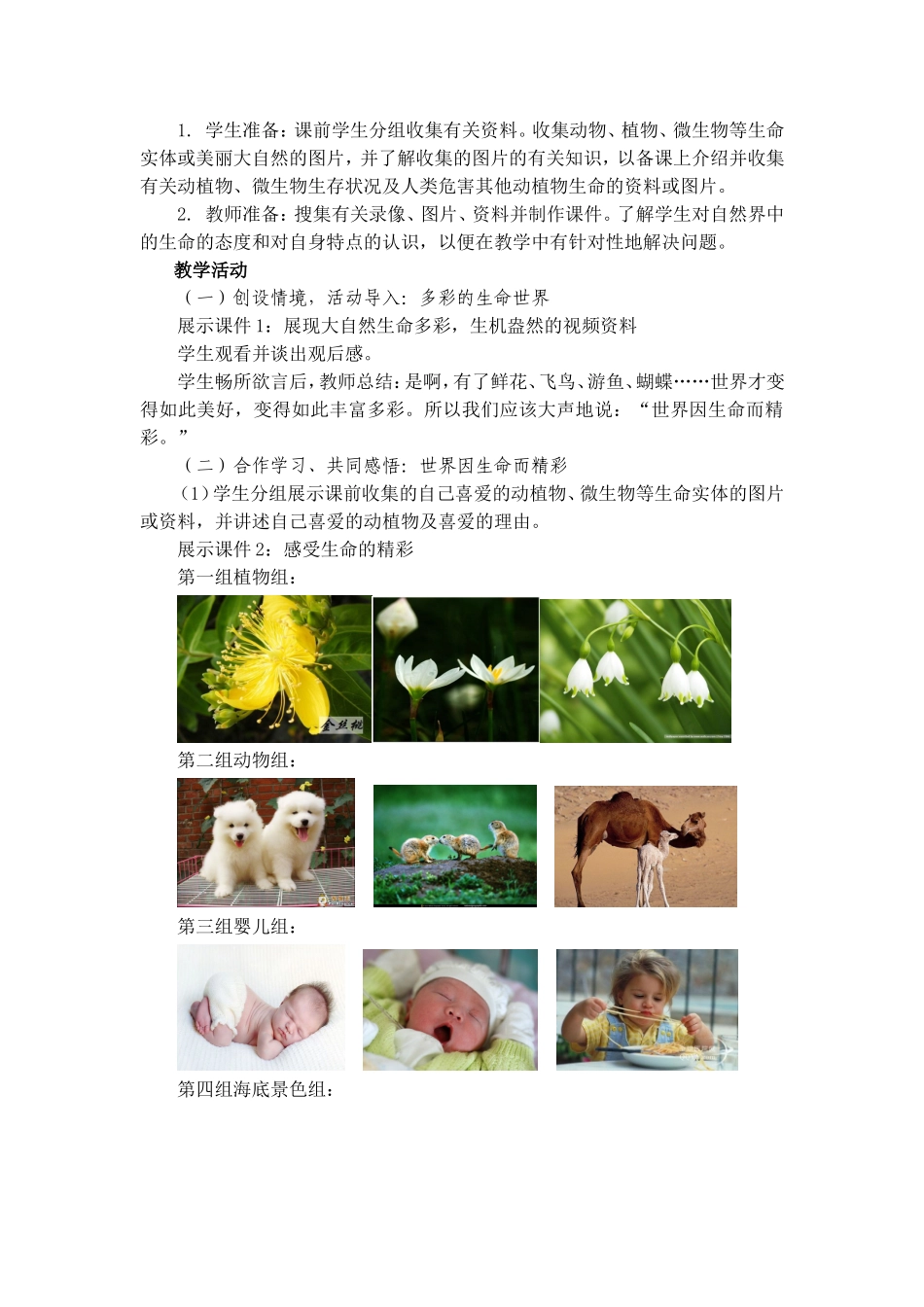 多彩的生命世界_第2页