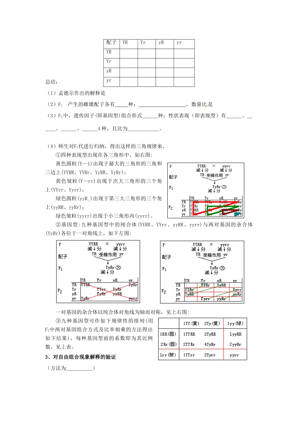 四川省射洪县高一生物《第2节孟德尔的豌豆杂交实验（二）》教案（2）新人教版_第2页