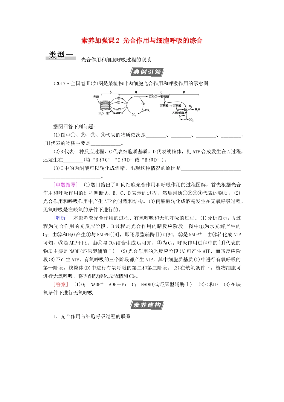 高考生物一轮复习 第3单元 细胞的能量供应和利用 素养加强课2 光合作用与细胞呼吸的综合学案 苏教版必修1-苏教版高三必修1生物学案_第1页
