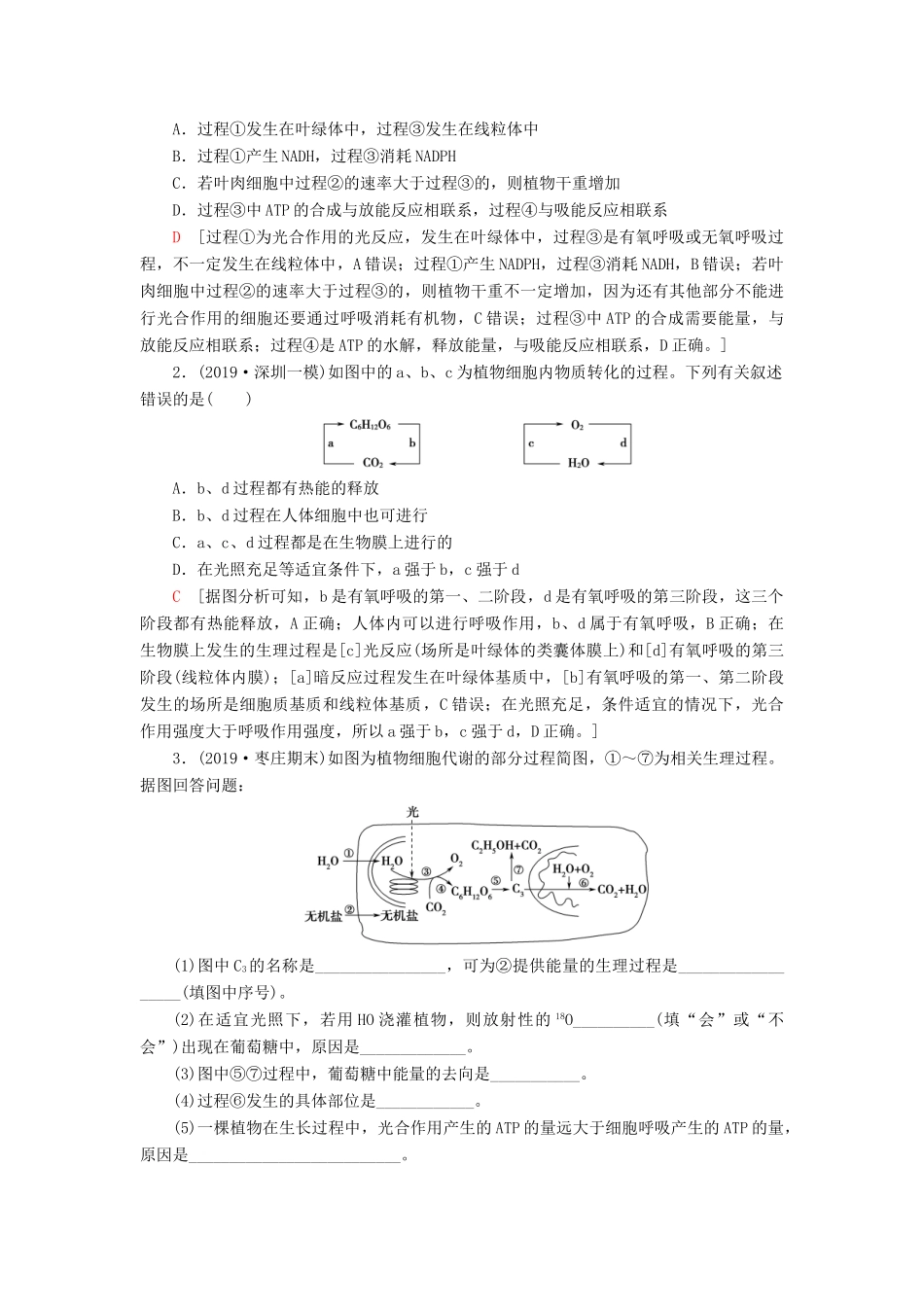 高考生物一轮复习 第3单元 细胞的能量供应和利用 素养加强课2 光合作用与细胞呼吸的综合学案 苏教版必修1-苏教版高三必修1生物学案_第3页