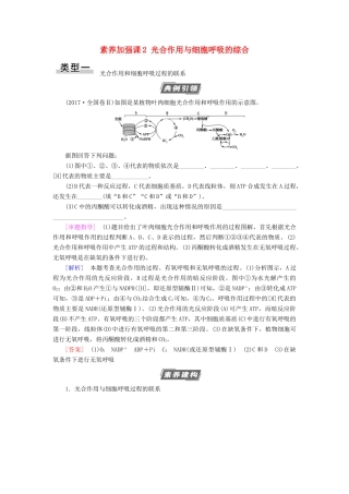 高考生物一轮复习 第3单元 细胞的能量供应和利用 素养加强课2 光合作用与细胞呼吸的综合学案 苏教版必修1-苏教版高三必修1生物学案