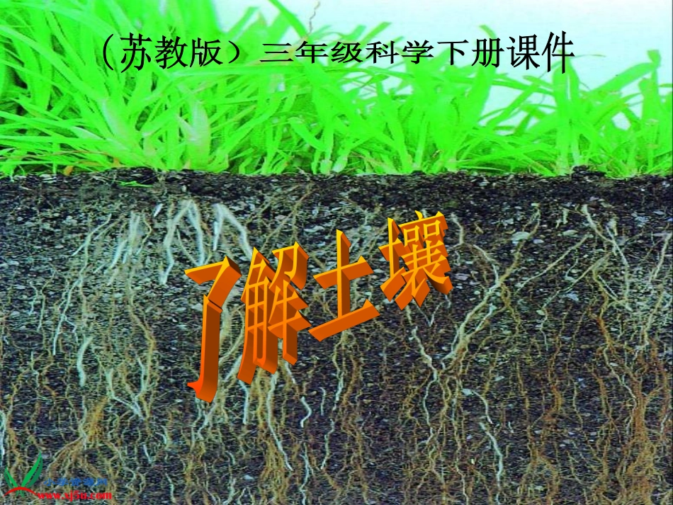 苏教版小学科学三年级下册《了解土壤》PPT课件之一_第1页