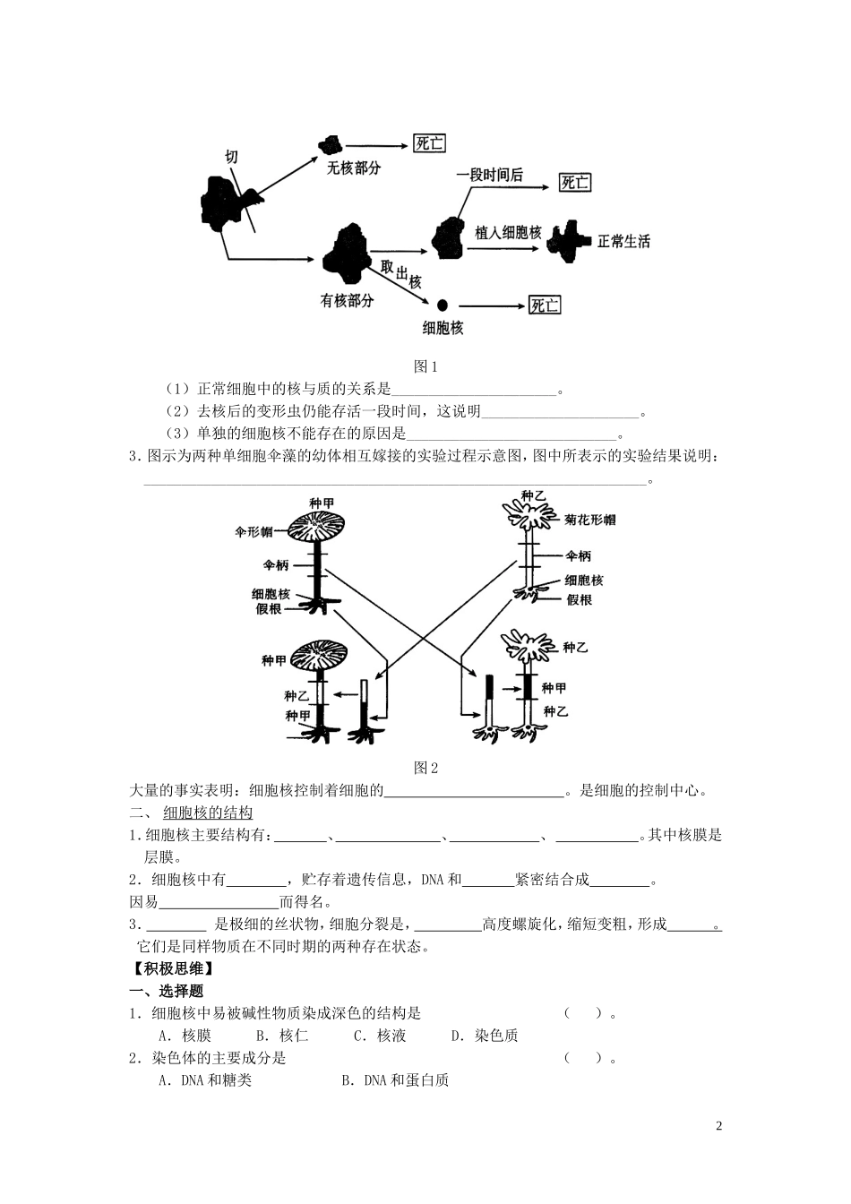 高中生物《细胞核——系统的控制中心》学案1 新人教版必修1_第2页