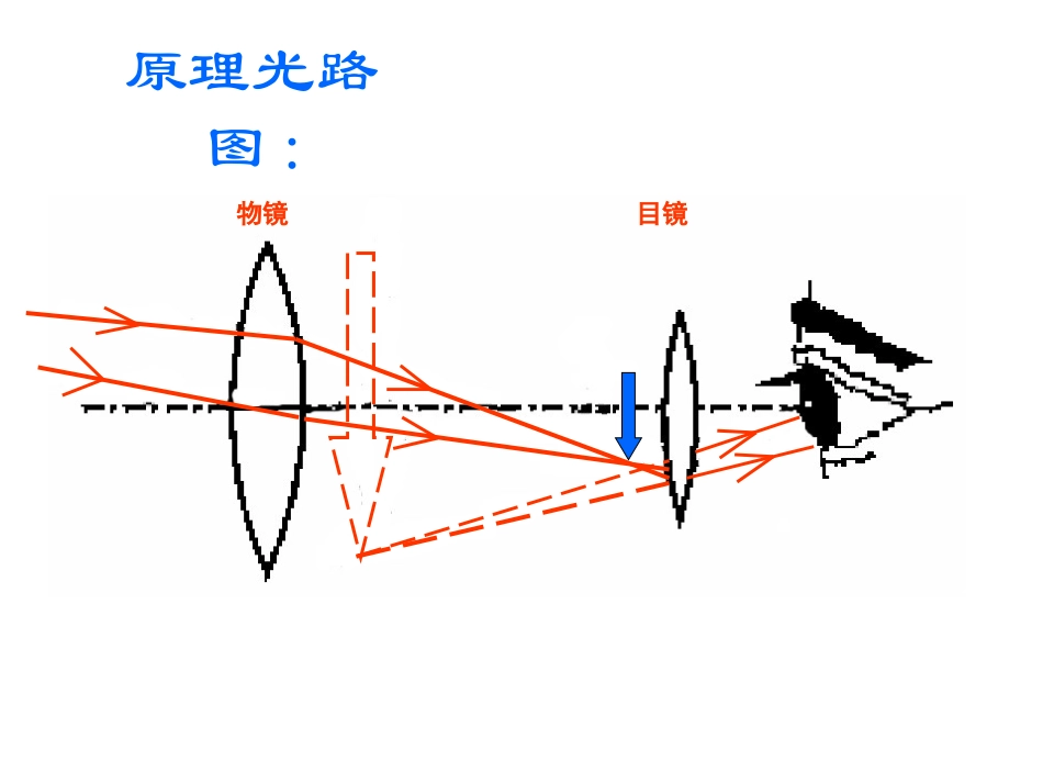 物理：47《通过透镜看世界》课件（教科版八年级上）_第3页