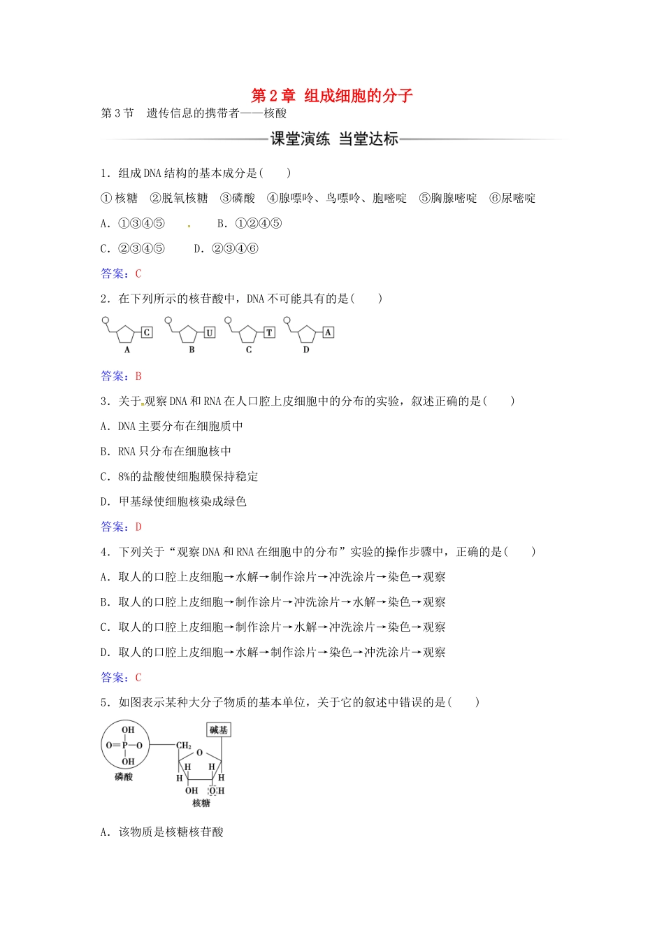 高中生物 第2章 第3节 遗传信息的携带者 核酸练习 新人教版必修1-新人教版高一必修1生物学案_第1页