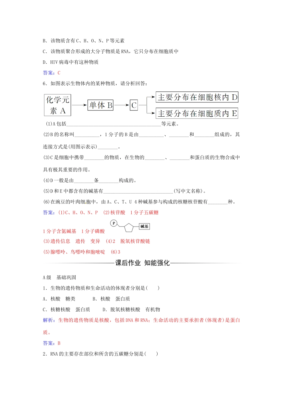 高中生物 第2章 第3节 遗传信息的携带者 核酸练习 新人教版必修1-新人教版高一必修1生物学案_第2页