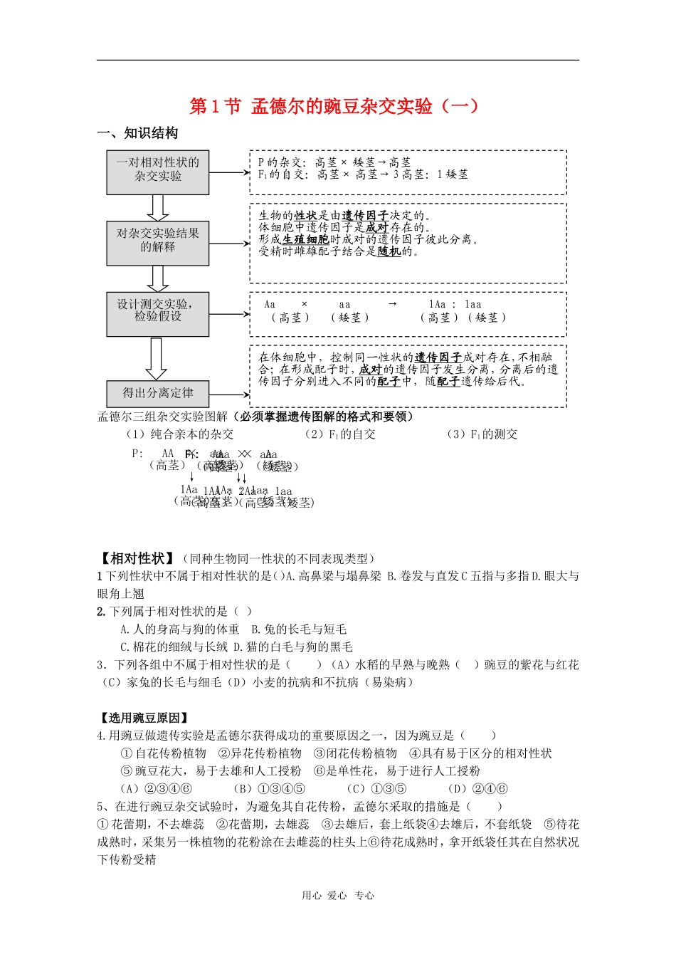高中生物：1.1《孟德尔的豌豆杂交实验（一）》学案（新人教版必修2）_第1页