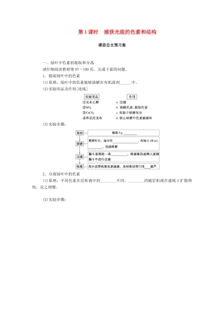 高中生物 第5章 细胞的能量供应和利用 第4节 第1课时 捕获光能的色素和结构学案 新人教版必修1-新人教版高一必修1生物学案