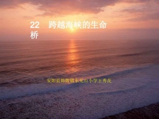跨越海峡的生命桥原来