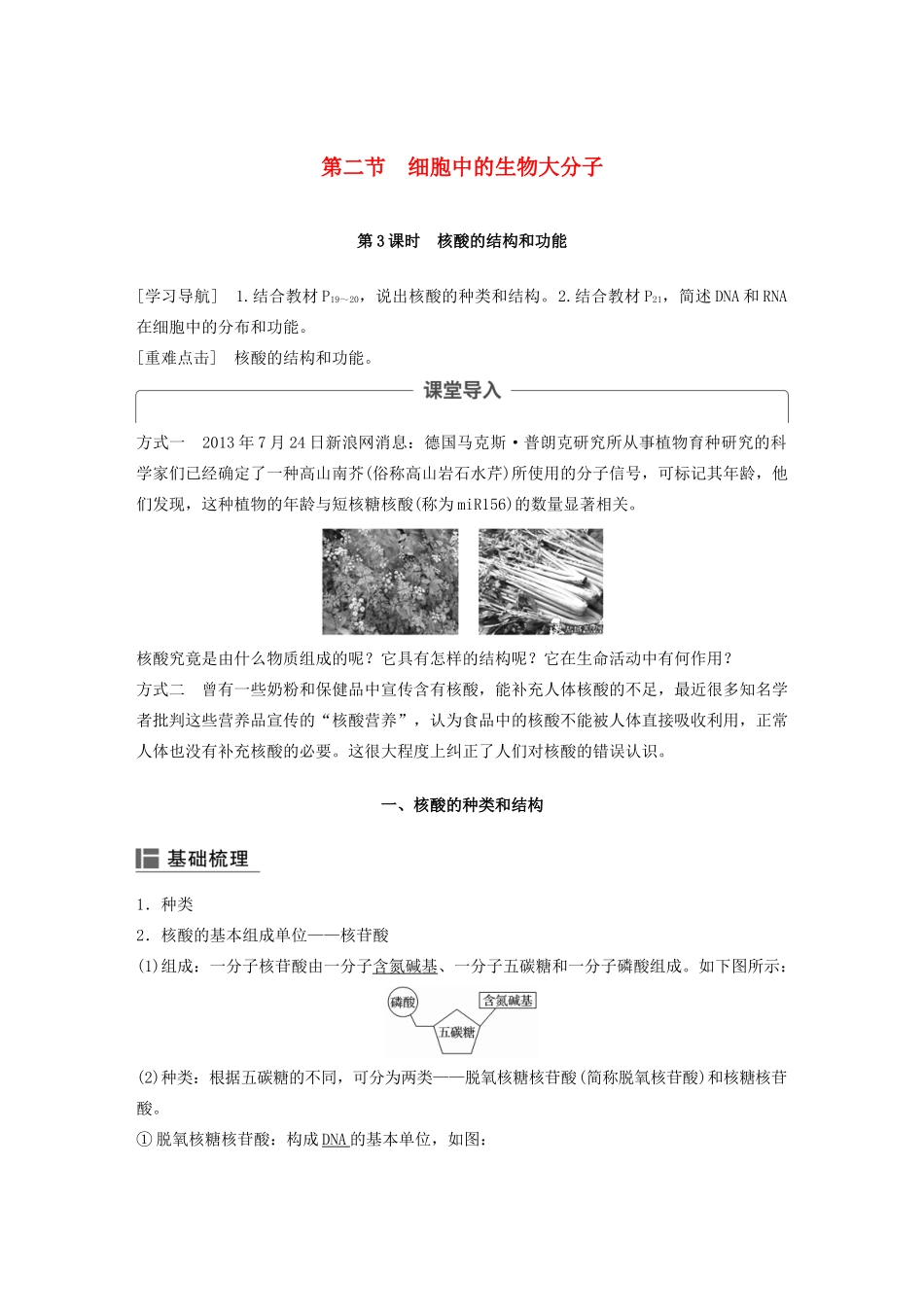 高中生物 第二章 细胞的化学组成 第二节 细胞中的生物大分子（第3课时）学案 苏教版必修1-苏教版高二必修1生物学案_第1页